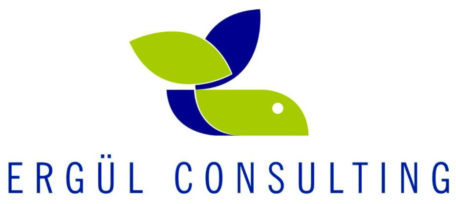 Ergül Consulting