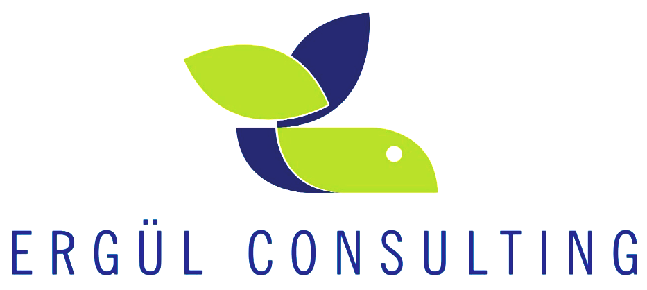 Ergül Consulting