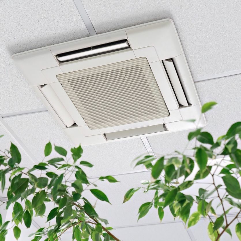 Unidad HVAC montada en el techo de color blanco, con una planta de hojas verdes en primer plano.