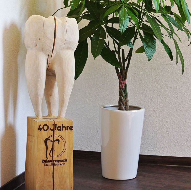 Zahnarztpraxis Dres. Hofmann, Burghaslach, Foto