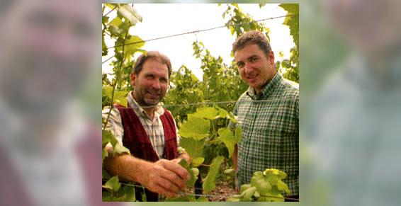 vins - gamme de vins d'Alsace, de génération en génération, Ottrott 67 - Vonville Jean-Charles & fils