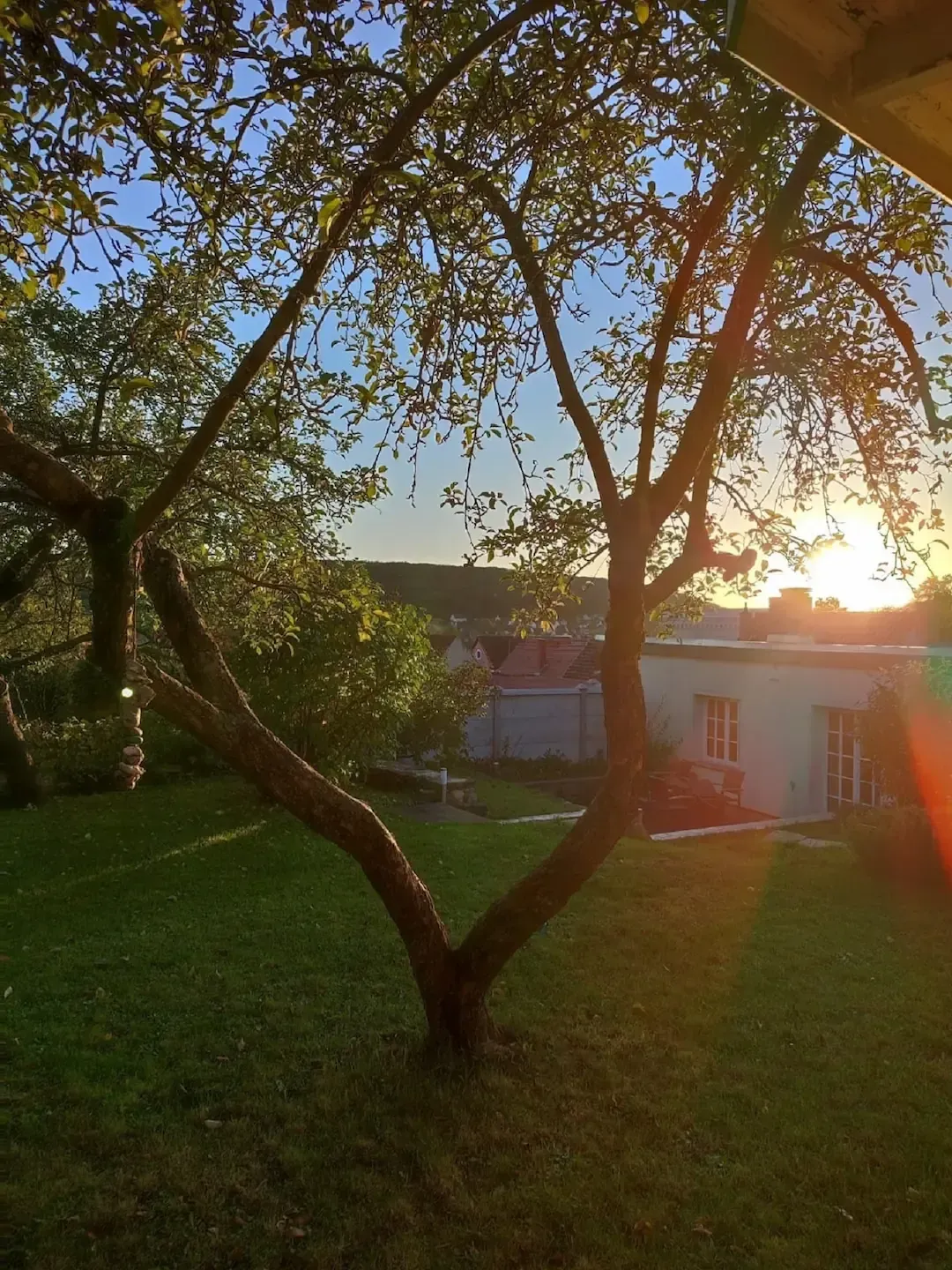 Ferienwohnung Garten