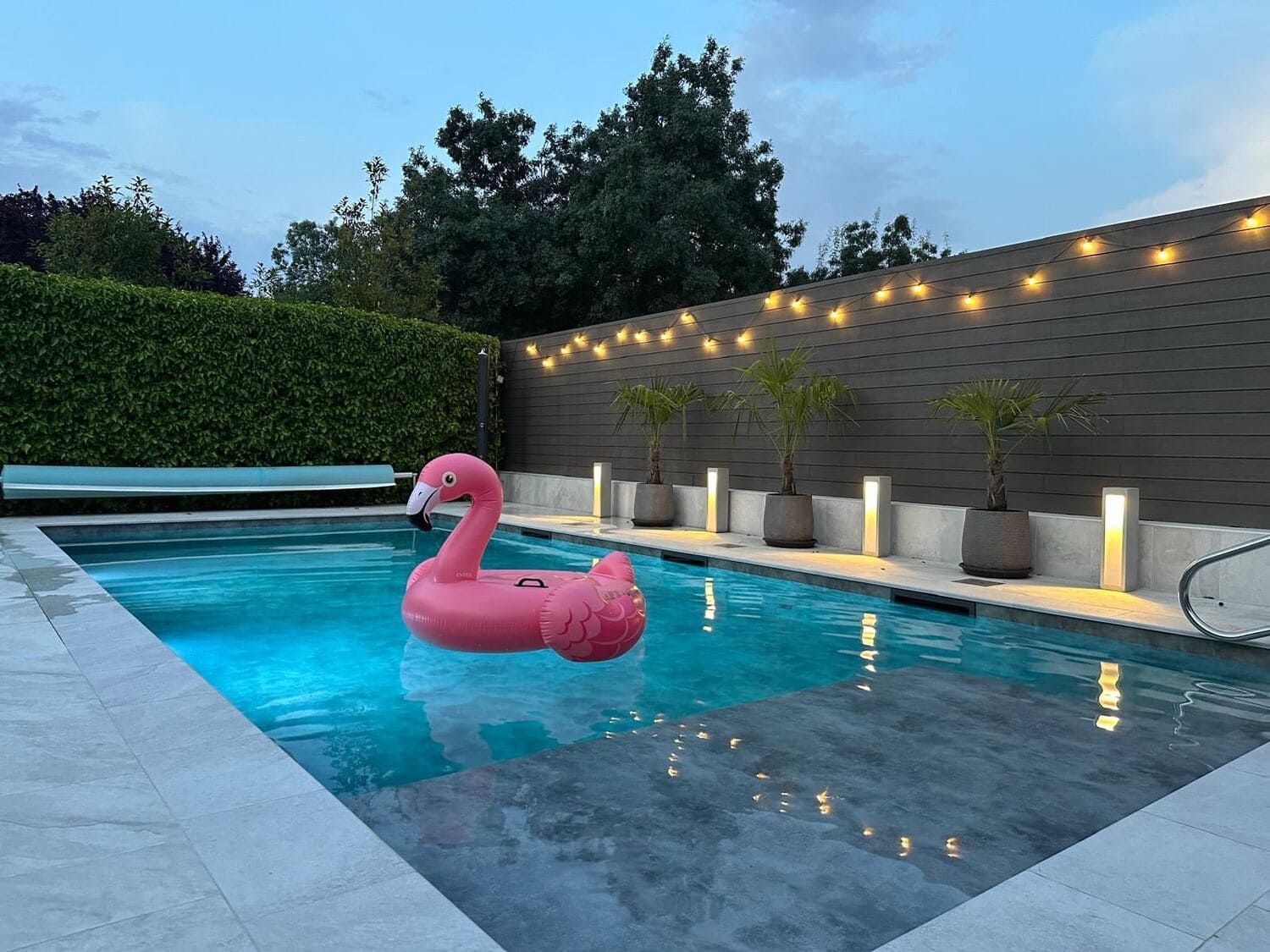 Flamenco rosado flotando en una piscina al anochecer, con luces de cadena y vegetación de fondo.