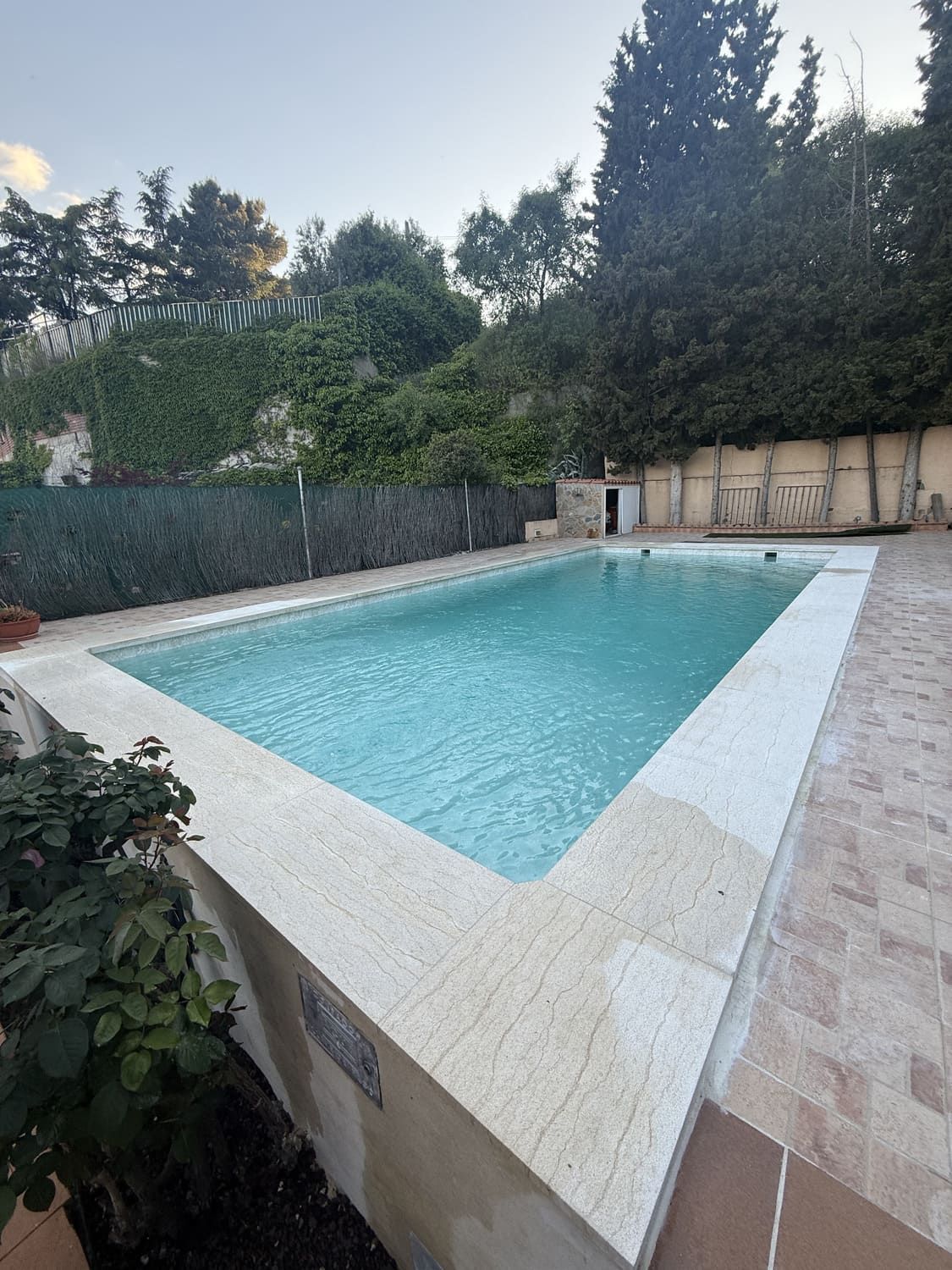 Piscina exterior rectangular de agua azul claro, rodeada de piedra clara. Al fondo, vegetación y árboles.