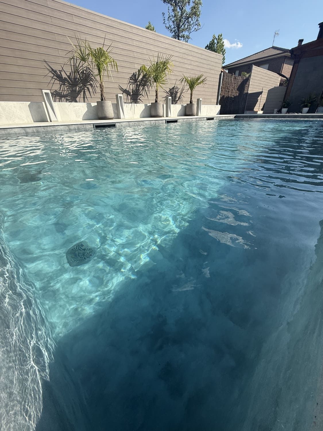 Piscina con agua azul clara, luz reflejada, plantas en macetas a lo largo de una pared de hormigón en el fondo.