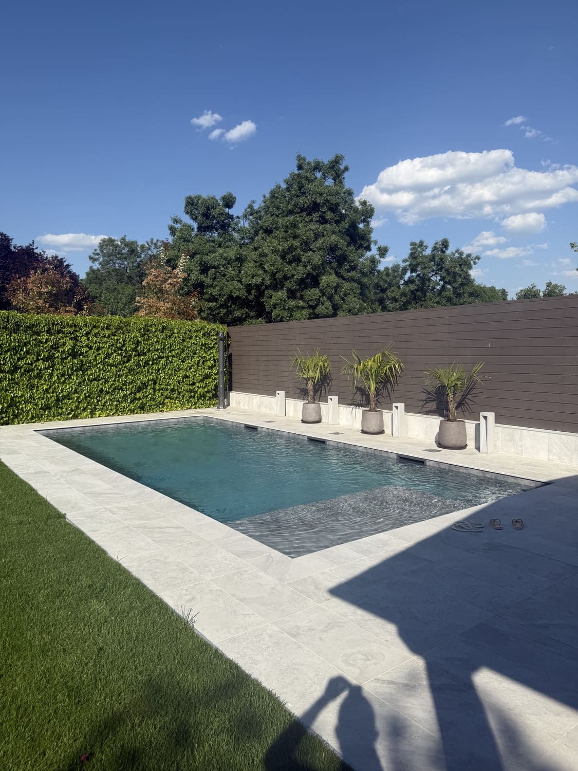Piscina con patio de hormigón, escalones y plantas frente a un seto y valla de madera, cielo azul.