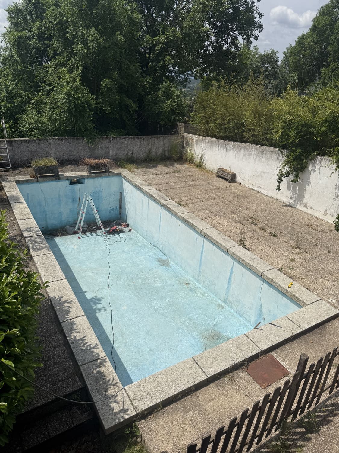 Piscina vacía rectangular con azulejos azules, rodeada de hormigón y vegetación crecida.