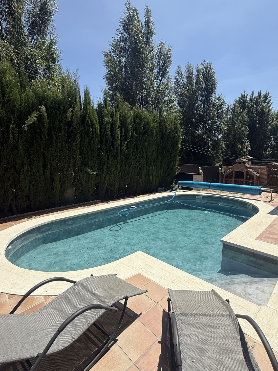 Piscina con tumbonas en un patio trasero soleado con altos árboles verdes y patio de ladrillo.