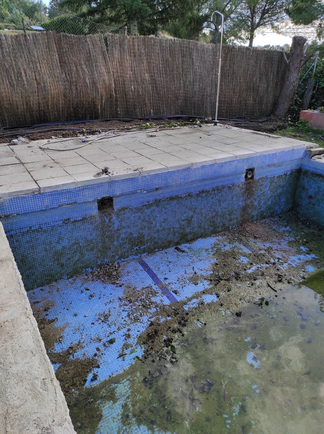 Una piscina abandonada, llena de algas y escombros. La piscina está revestida de azulejos azules y rodeada de hormigón.