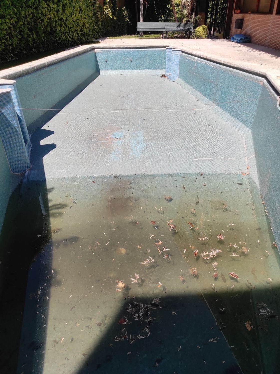 Una piscina sucia y vacía con agua teñida de verde y escombros.