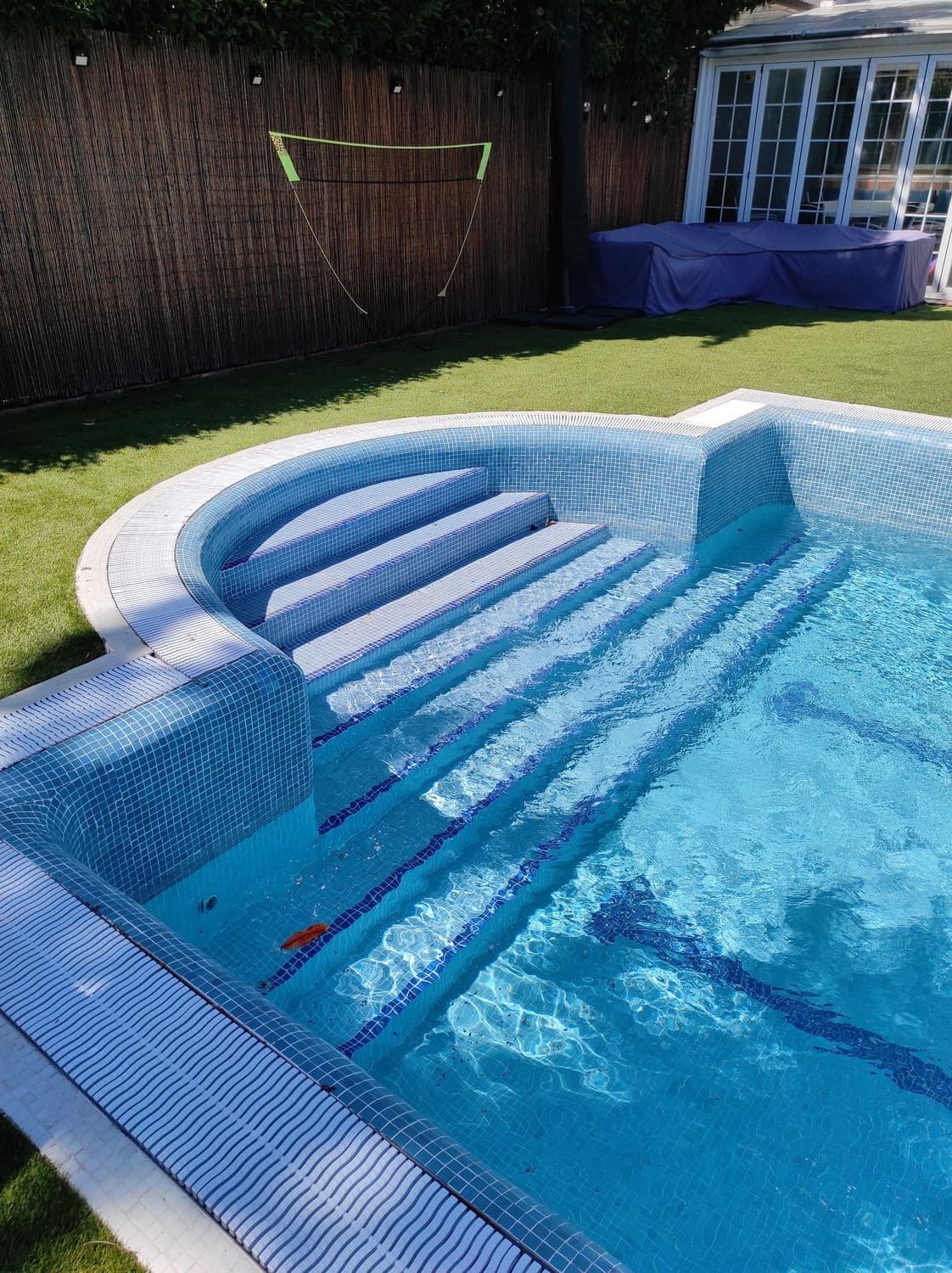 Piscina con escalones de azulejos azules. Molduras blancas, césped verde y una valla de bambú al fondo.