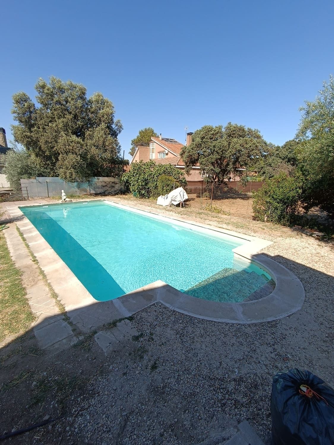 Piscina rectangular en un patio soleado con árboles, césped y un cielo azul claro.