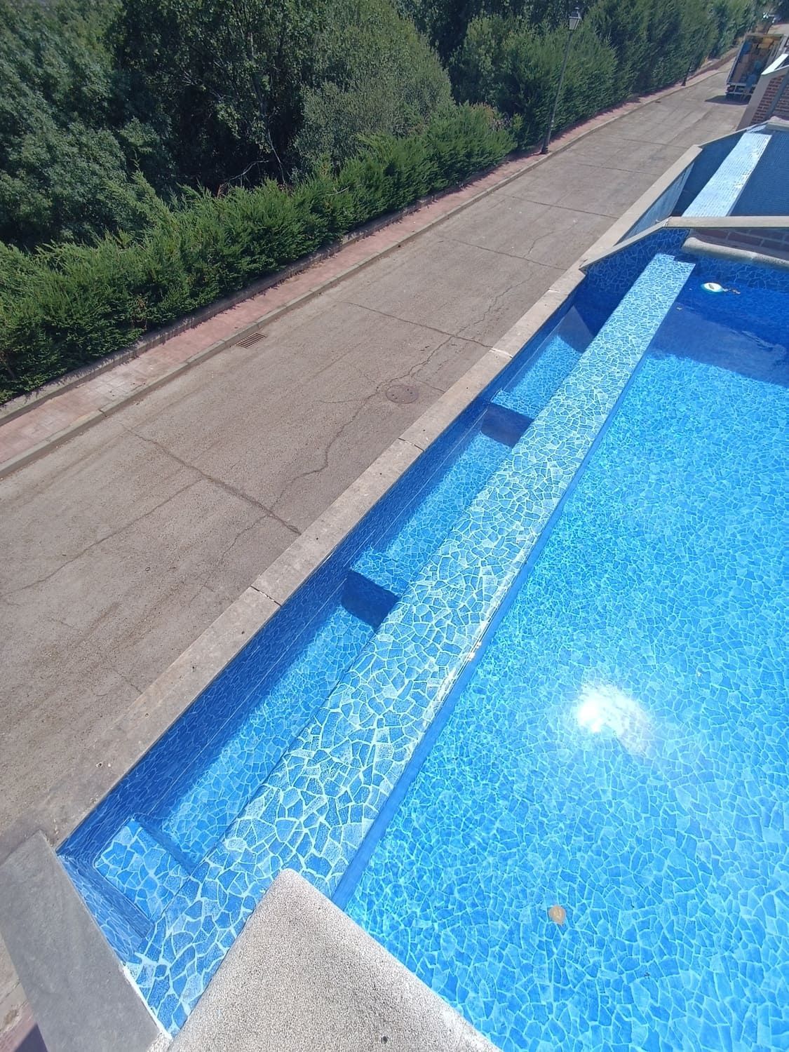 Piscina de azulejos azules con escalones junto a un camino de hormigón y vegetación.