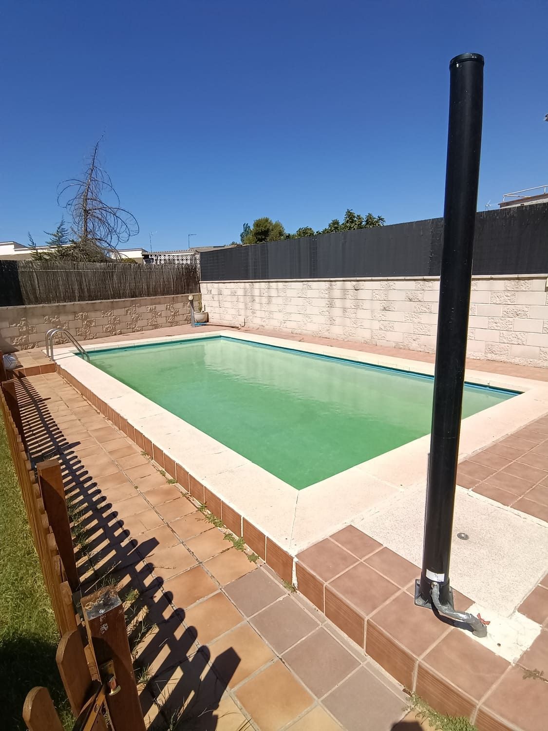 Piscina de agua verde rodeada de baldosas marrones y una valla oscura bajo un cielo azul.