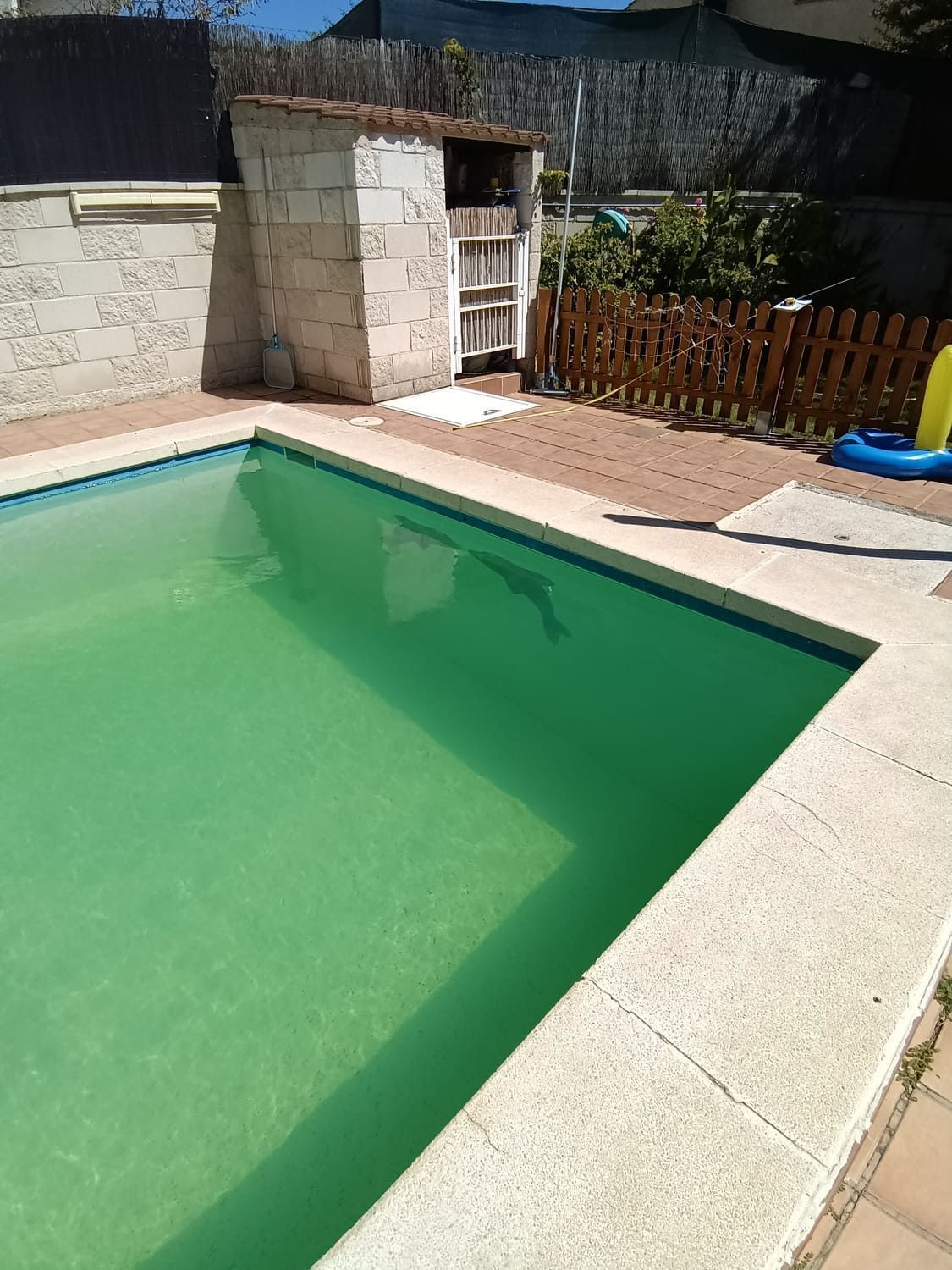 Piscina verde con borde de piedra. Hay una estructura junto a la piscina y una valla de madera rodea parte del patio.