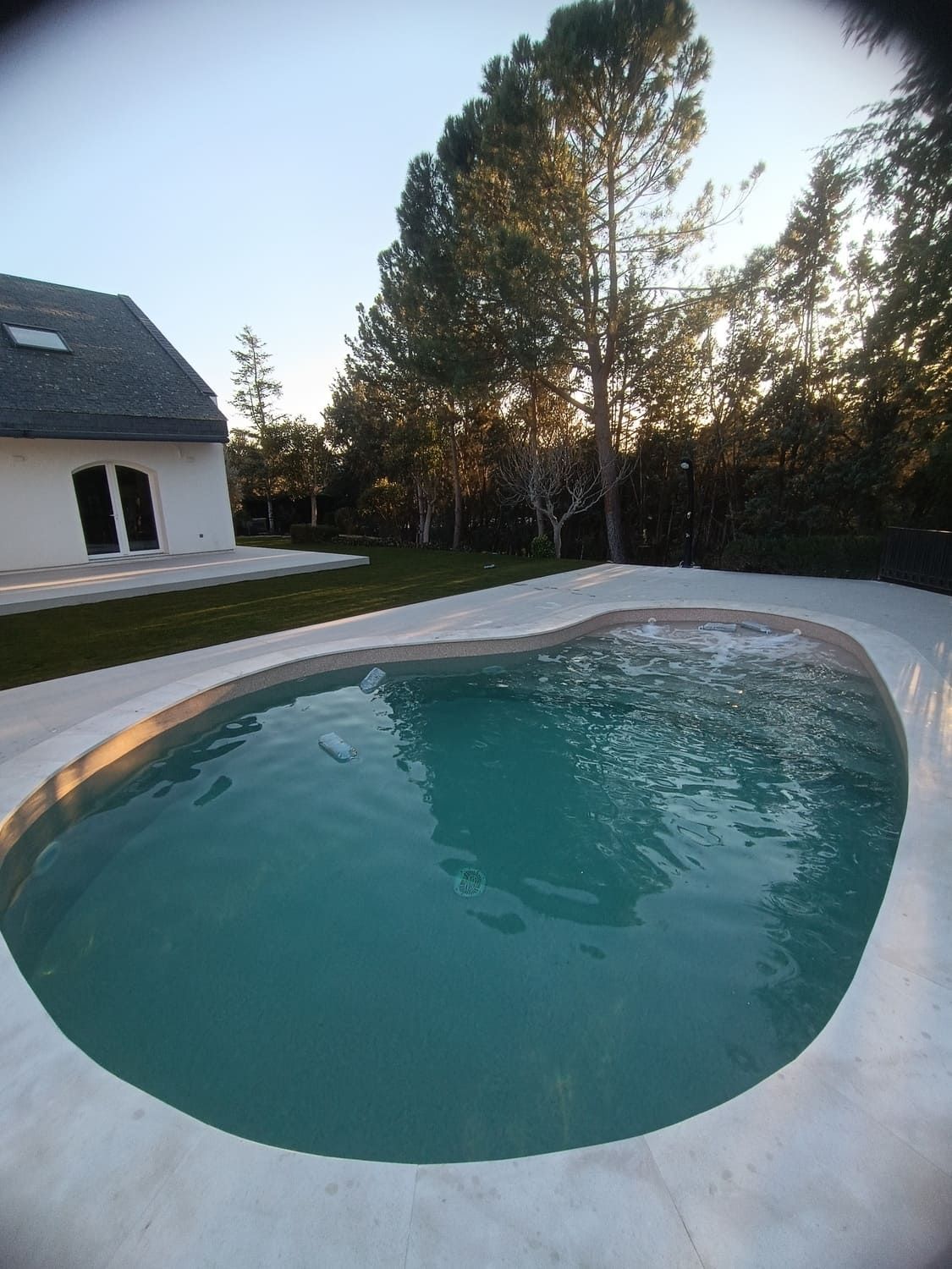 Piscina de agua verde azulada, rodeada de hormigón. Casa y árboles al fondo.