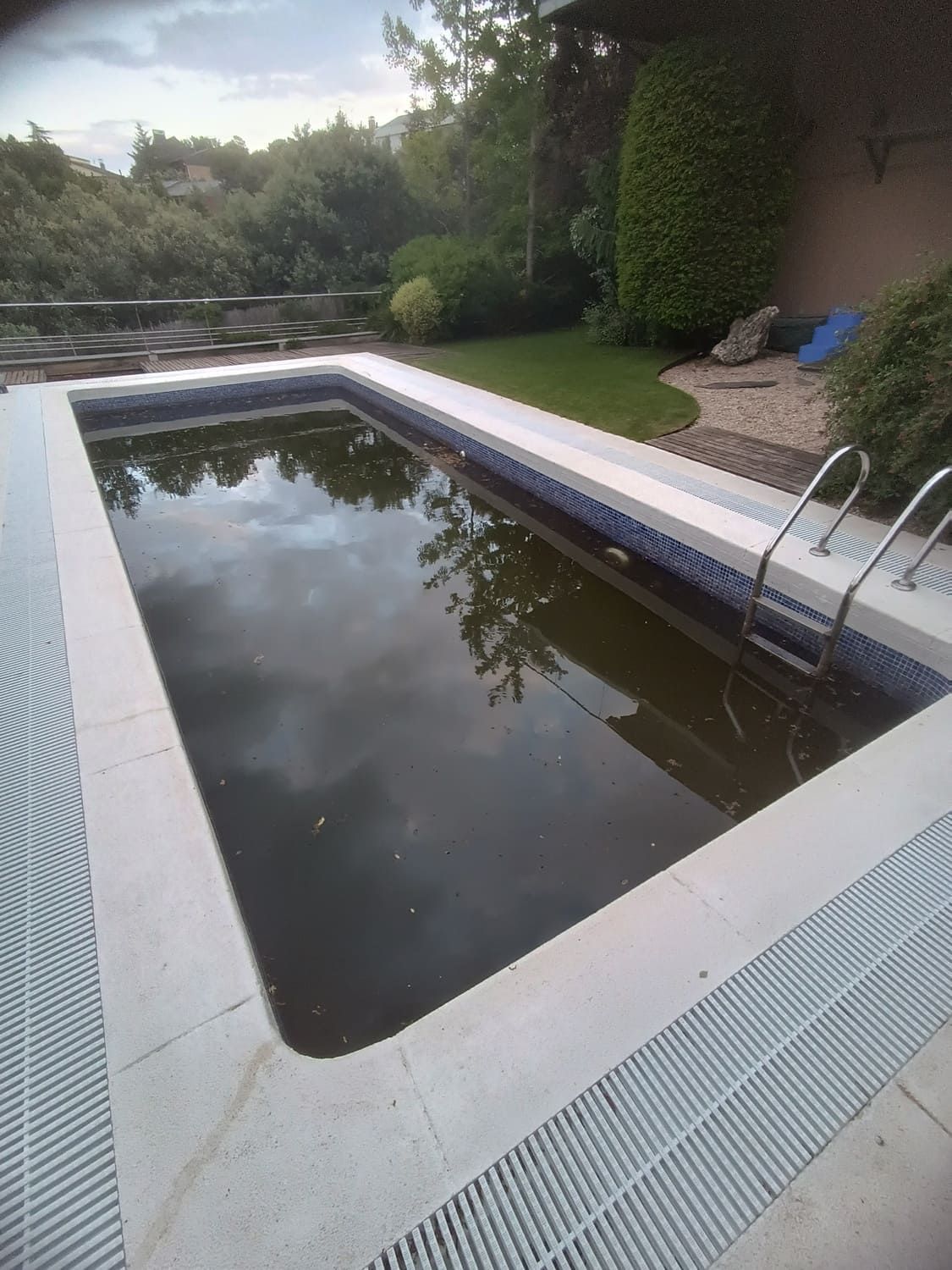 Piscina al aire libre sucia con bordes de baldosas y escalera de metal, rodeada de césped y árboles, cielo nublado reflejado.