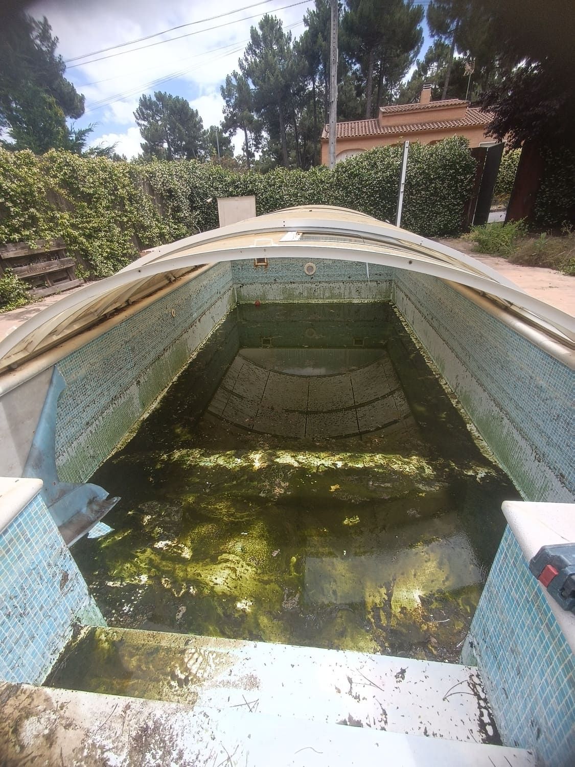 Piscina sucia y llena de algas bajo una cubierta parcial en forma de cúpula, rodeada de bordes de azulejos azules.