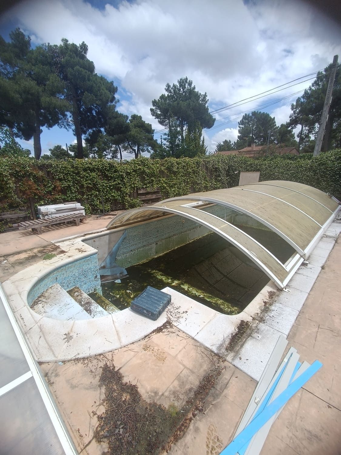Una piscina abandonada, cubierta por una cúpula parcialmente abierta. Las algas llenan el agua y el entorno está cubierto de vegetación.