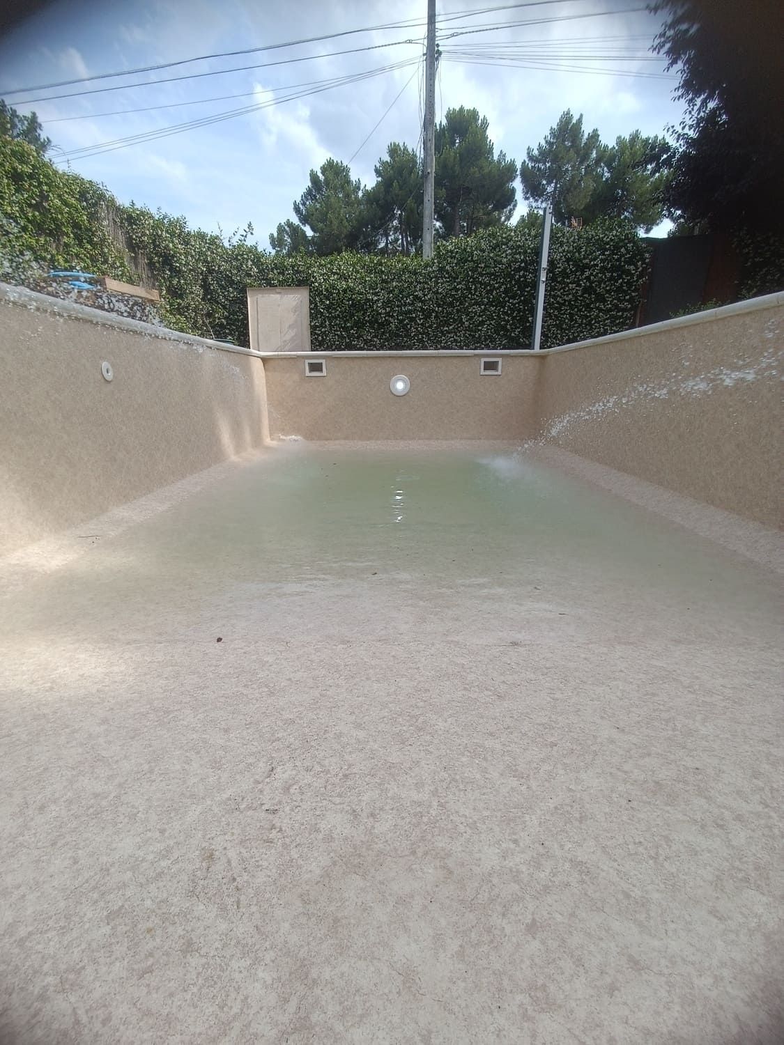 Piscina vacía, de color claro y agua ligeramente verdosa. La piscina se encuentra al aire libre, con un seto como fondo.