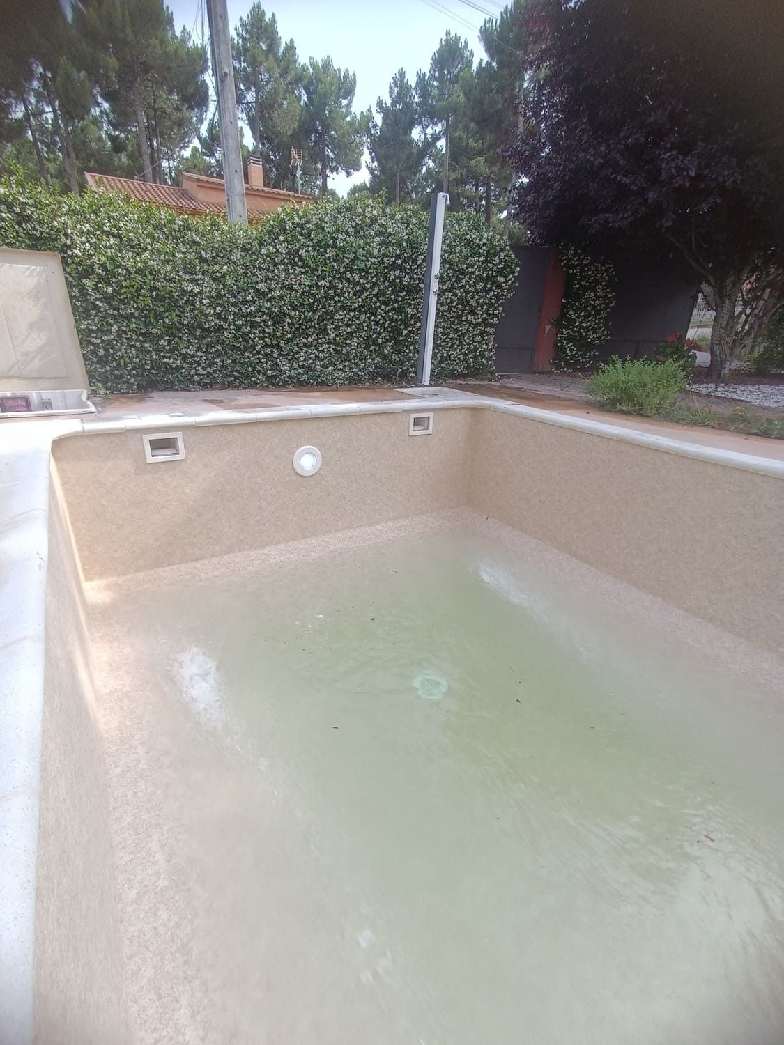 Piscina vacía, agua verde claro, interior bronceado. Seto verde y árboles al fondo.