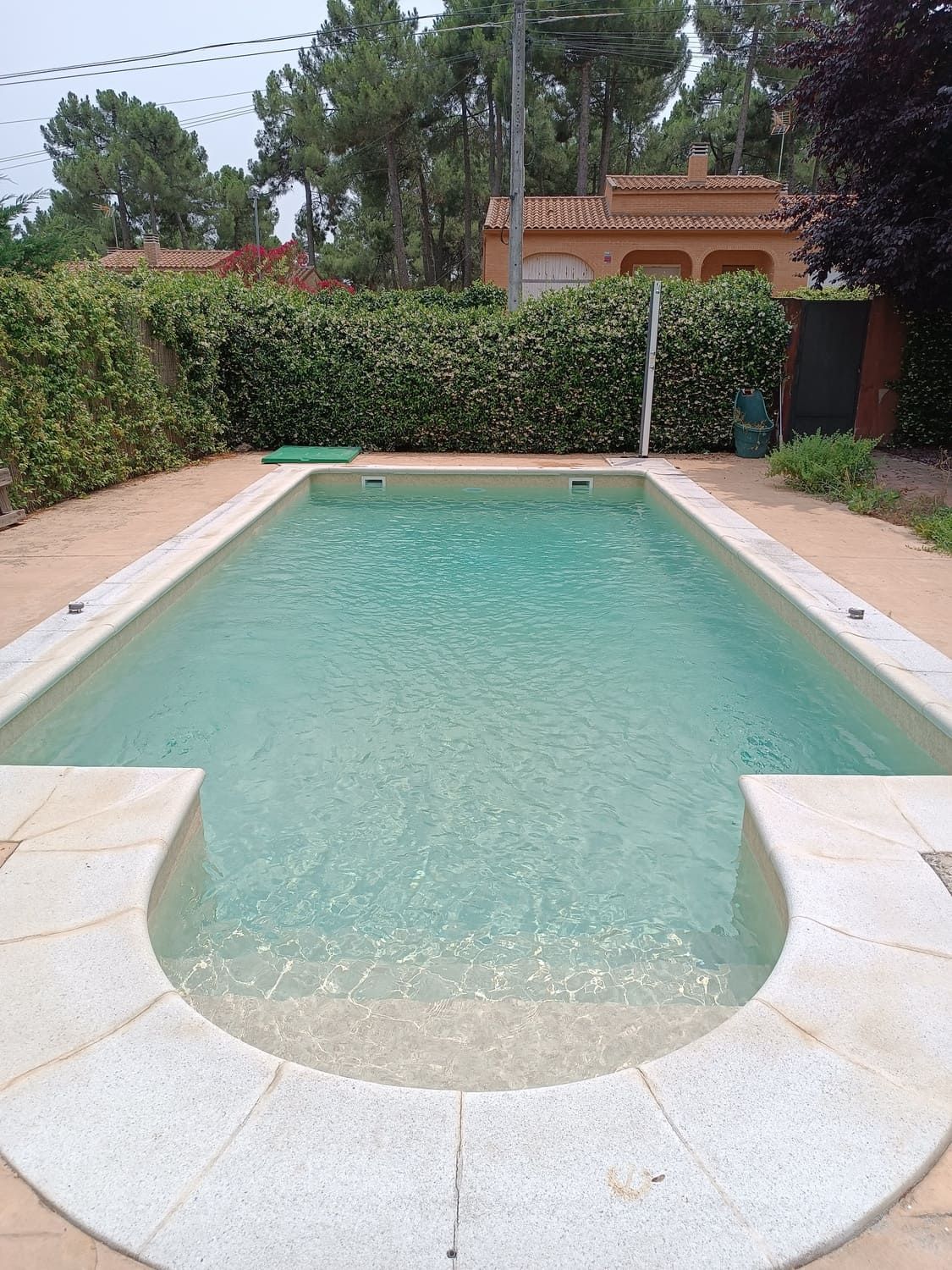 Piscina rectangular con escalones curvos en un extremo, rodeada de piedra y vegetación.