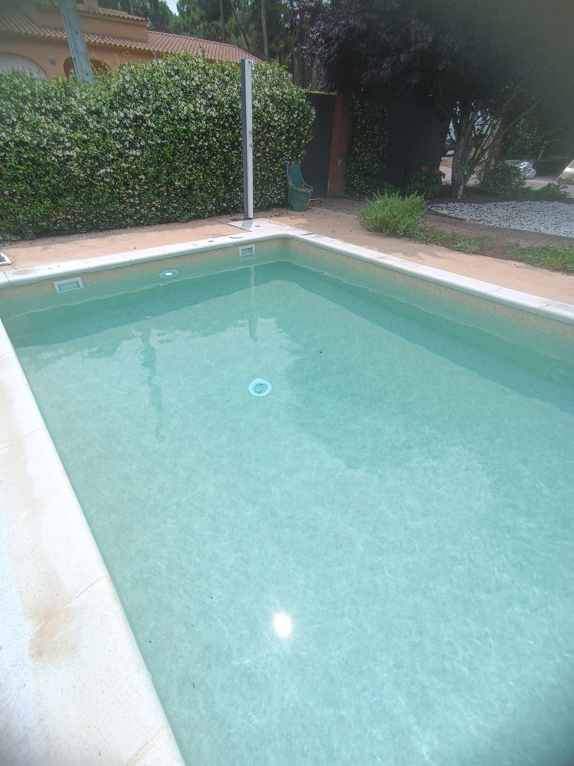 Piscina de agua cristalina, rodeada de hormigón y vegetación. La luz del sol se refleja en la superficie.