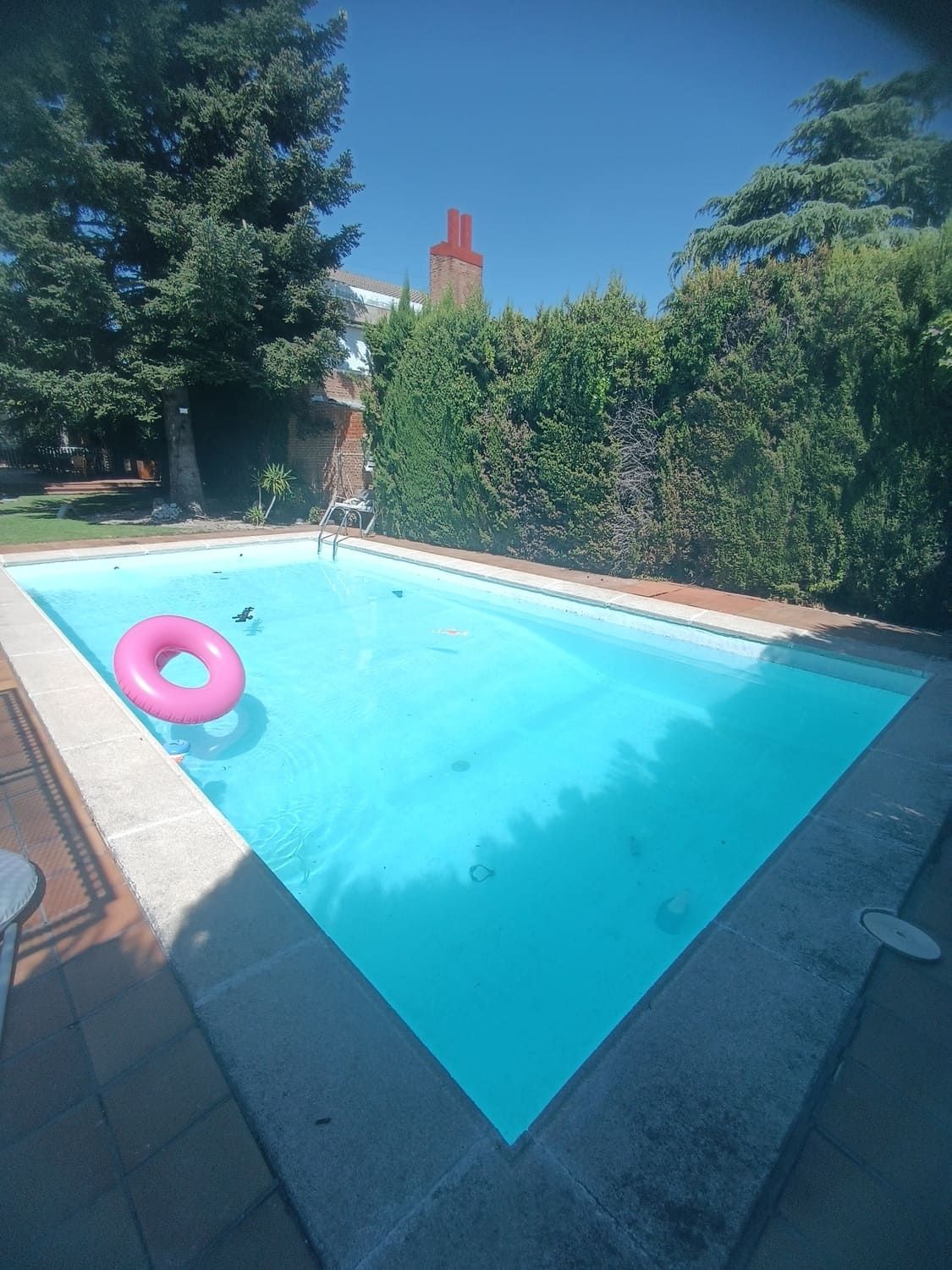 Piscina rectangular con anillo inflable de color rosa; rodeada de pavimento y vegetación bajo un cielo azul y soleado.