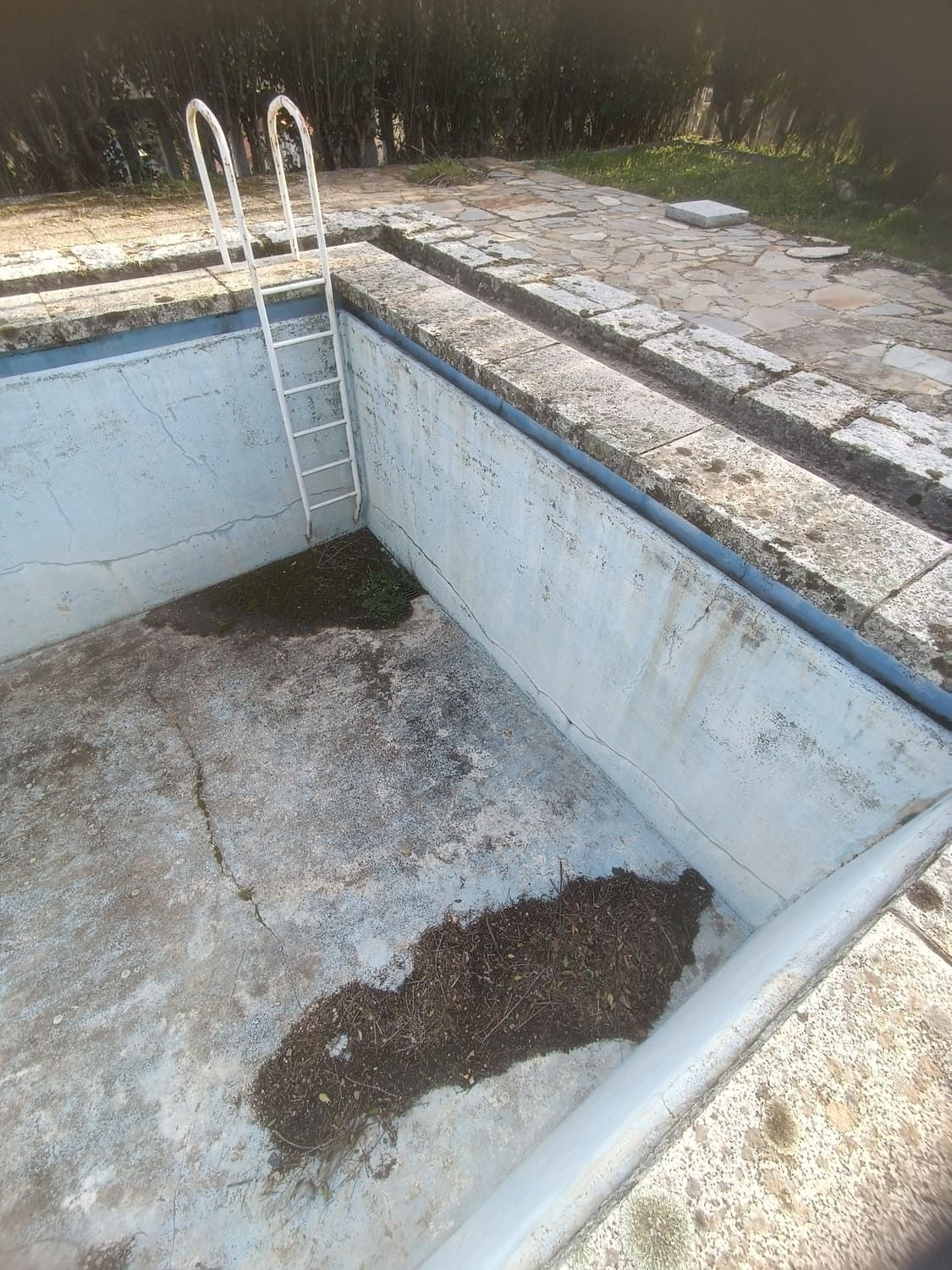Piscina de hormigón vacía con escalera, musgo y escombros.