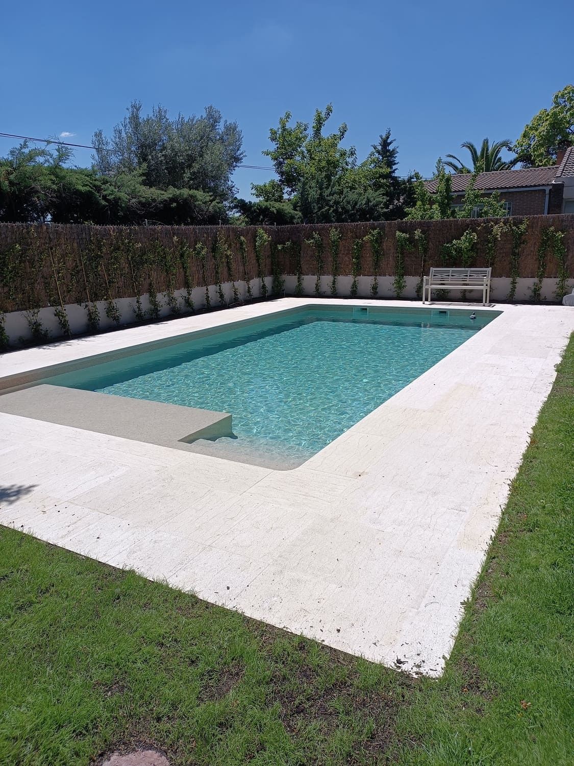 Piscina rectangular de agua clara, rodeada de piedra blanca y césped verde, contra un seto y un cielo azul.