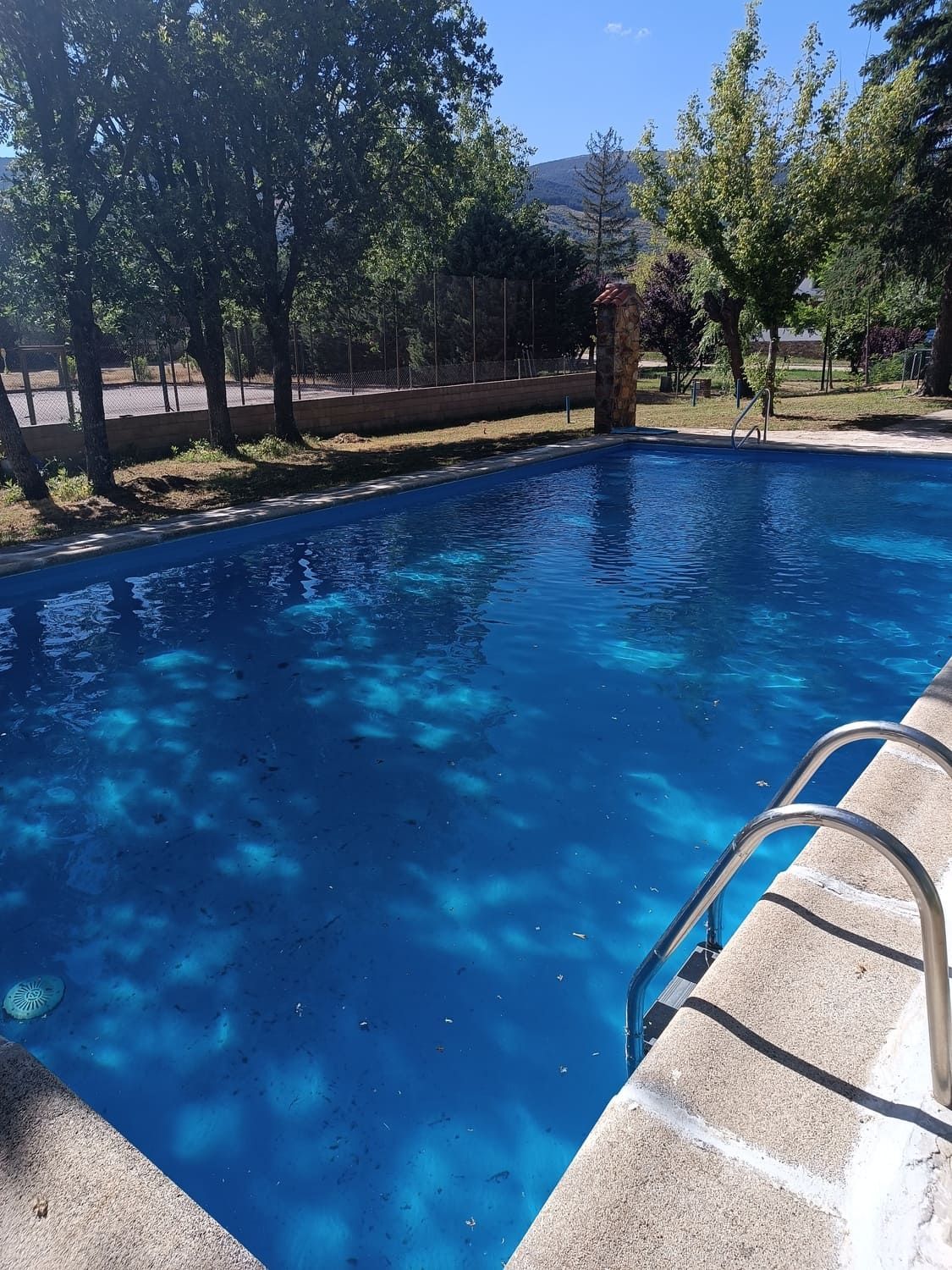 Piscina al aire libre con agua azul, bordes de hormigón y escalera metálica. Árboles al fondo.