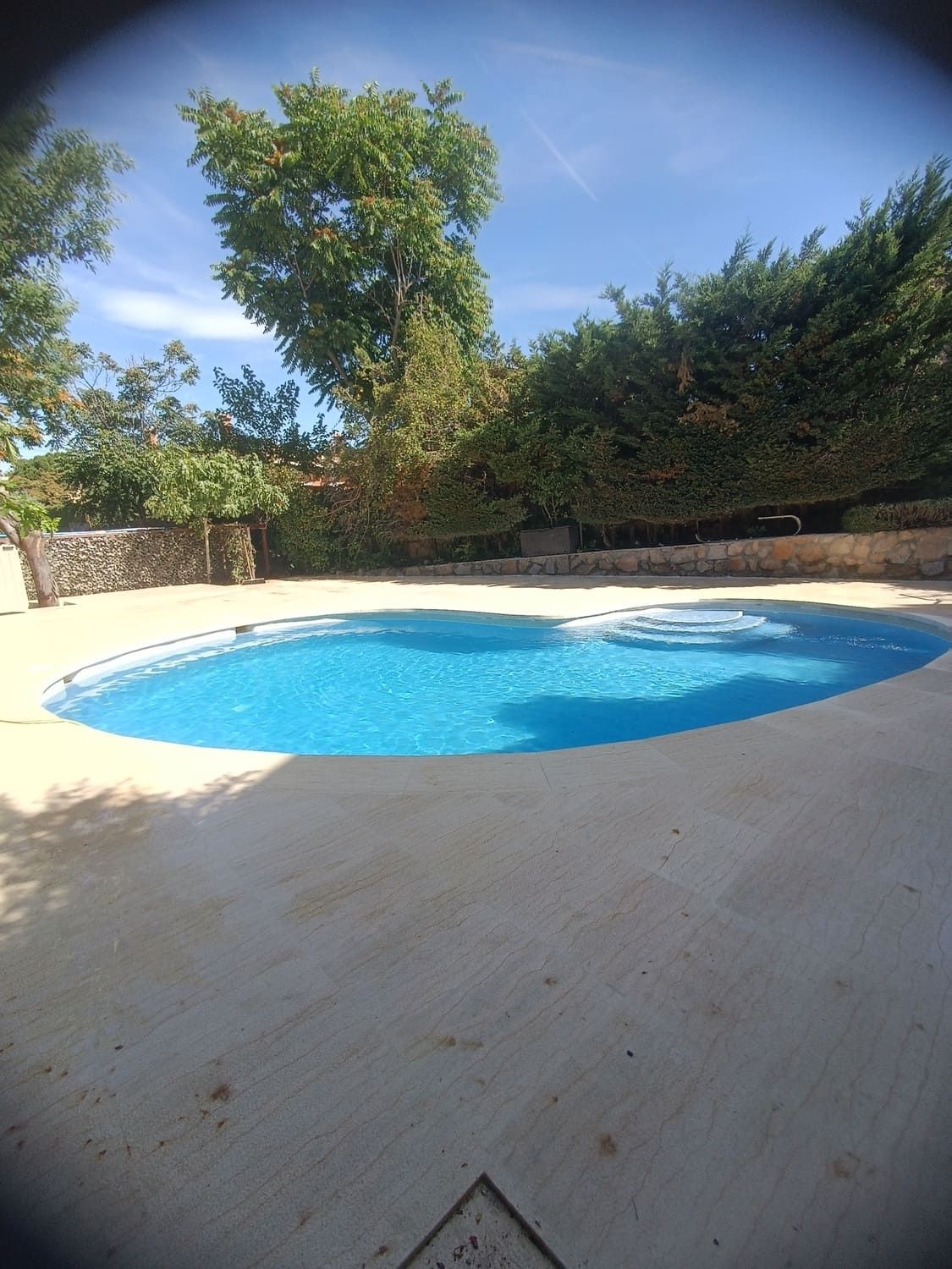 Piscina de azulejos azules rodeada de un patio de hormigón y una exuberante vegetación bajo un cielo azul soleado.