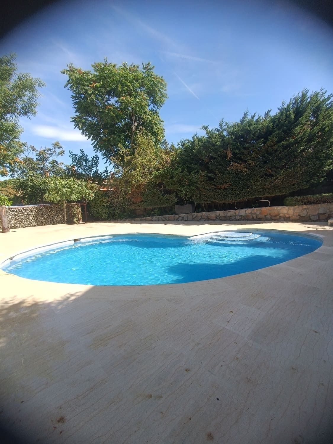 Una piscina azul en forma de riñón rodeada de un patio de piedra y vegetación bajo un cielo soleado.
