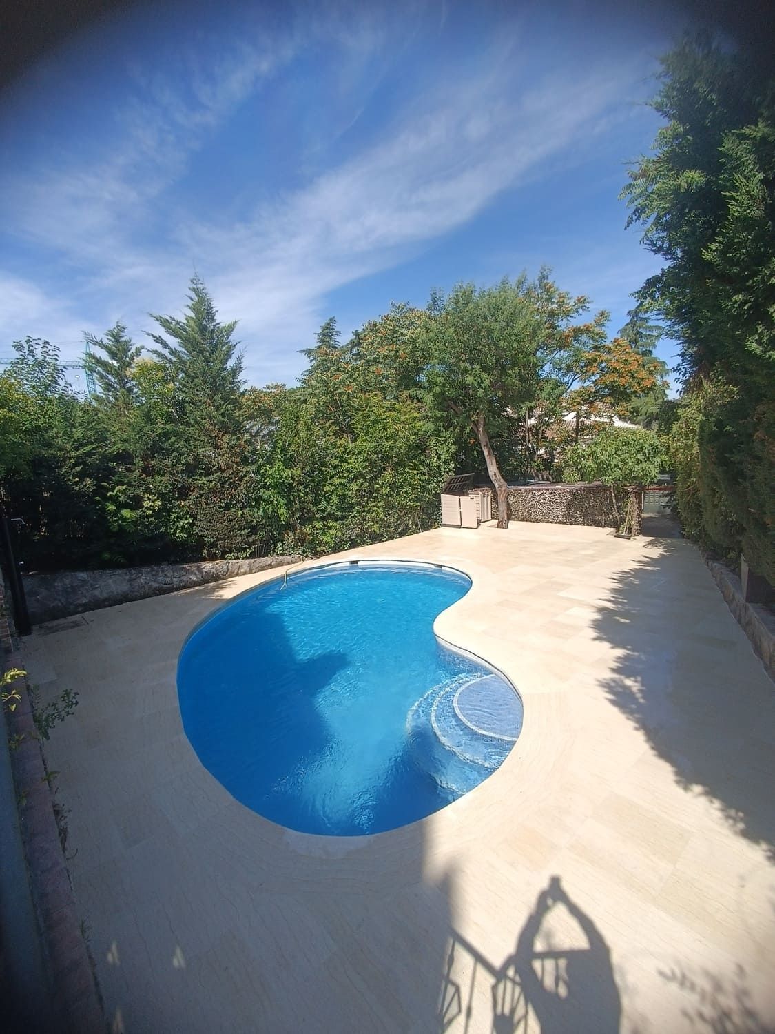 Piscina rodeada de hormigón, árboles y cielo azul.