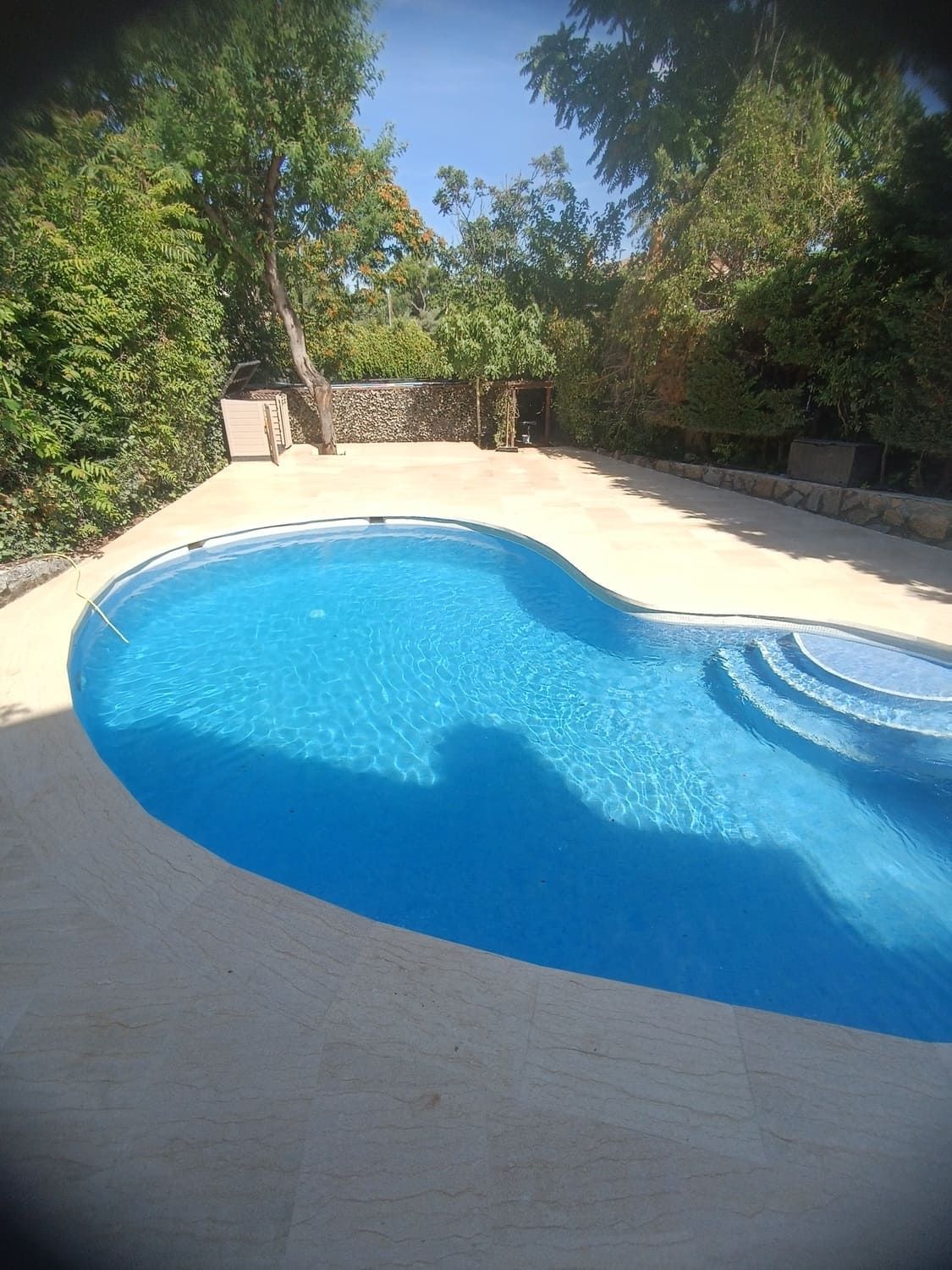 Piscina azul en un entorno exterior soleado, rodeada de árboles y un patio de hormigón.