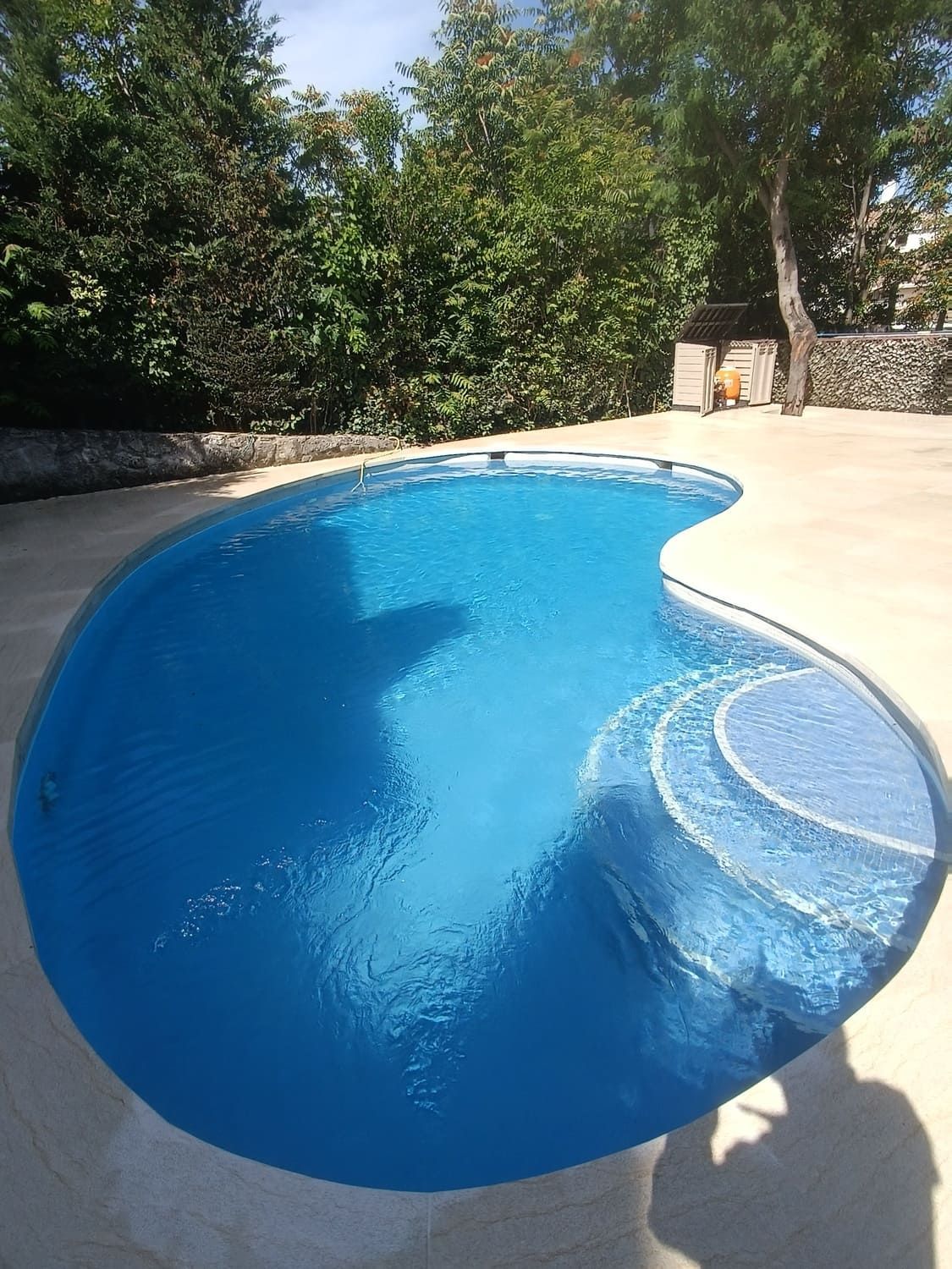 Piscina azul en forma de riñón con escalones incorporados, rodeada de un patio de hormigón claro. Árboles verdes al fondo.