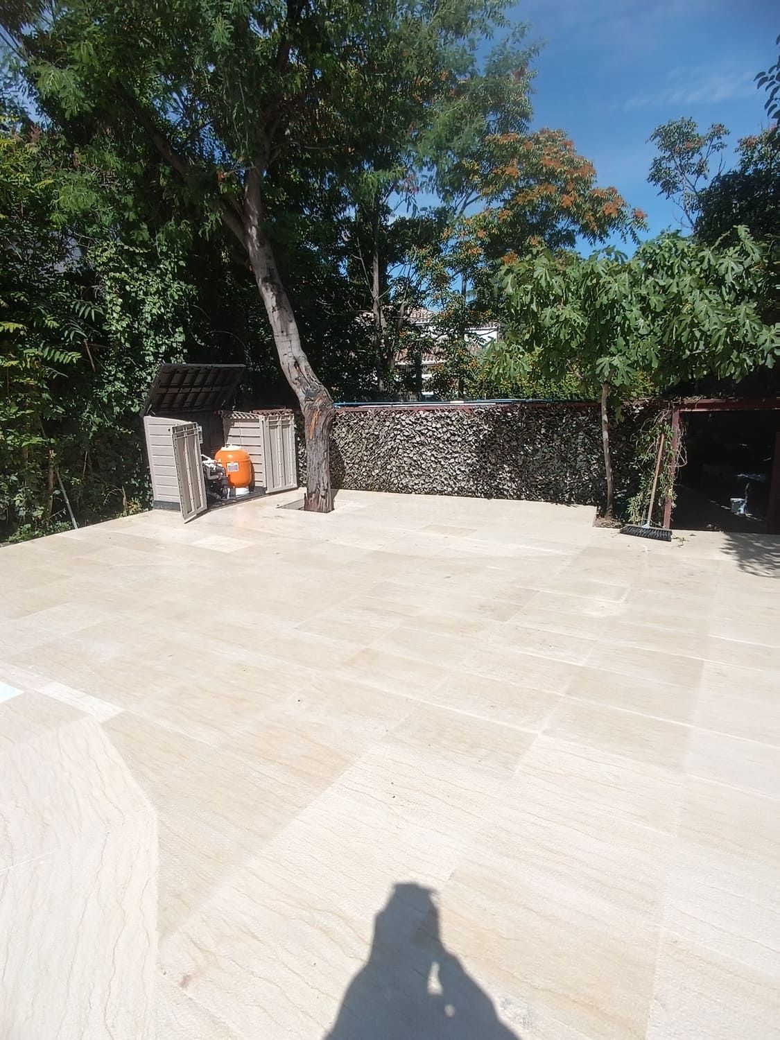 Zona exterior pavimentada con árbol, muro para leña, pequeño cobertizo y árboles bajo un cielo azul.