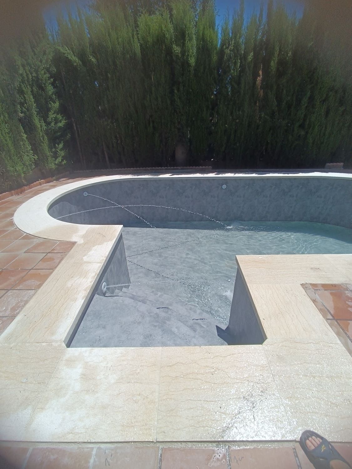 Piscina con borde de hormigón de color claro, agua y patio de ladrillo con un telón de fondo de arbustos verdes y cielo azul.