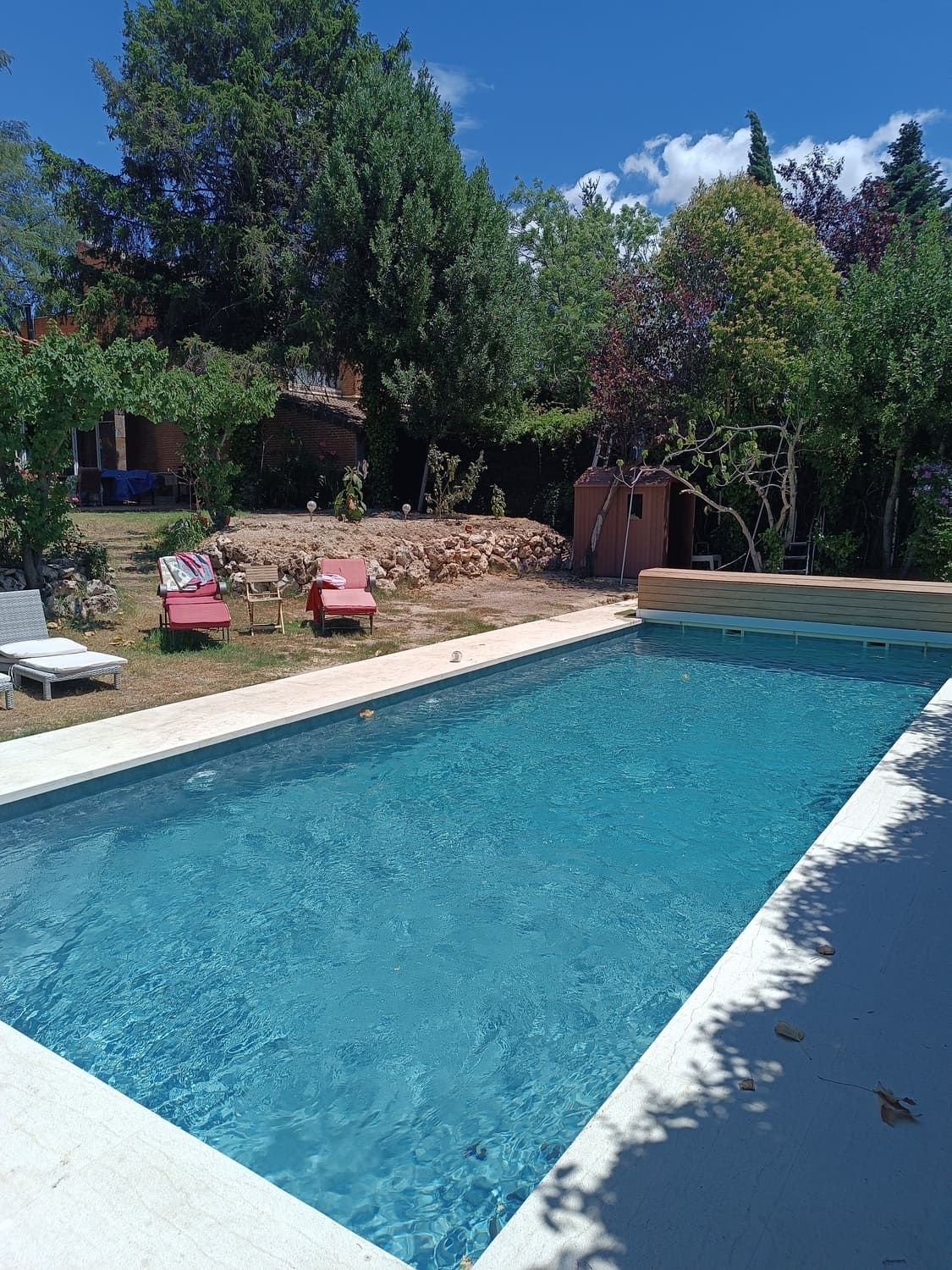 Piscina rodeada de árboles verdes y césped con sillas rojas. Cielo azul.