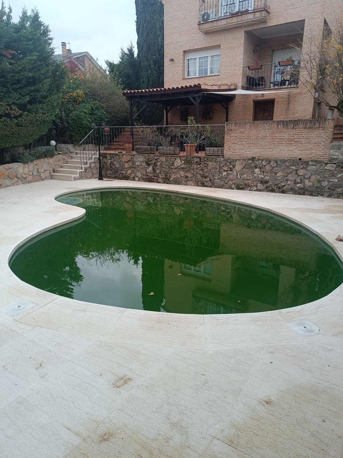 Piscina llena de algas verdes rodeada de hormigón, cerca de un edificio con terraza.