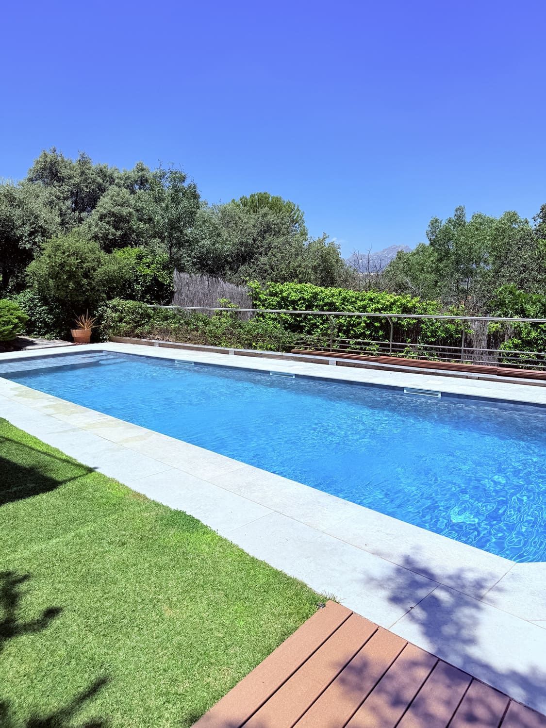 Piscina rectangular rodeada de césped verde, árboles y cielo azul.