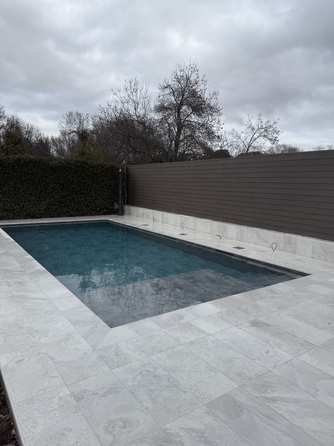 Piscina rectangular con borde de azulejos gris claro, agua oscura y valla marrón para mayor privacidad. Cielo nublado.