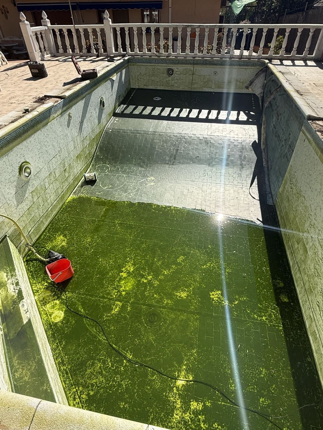 Piscina rectangular vacía y llena de algas con un cubo rojo en su interior, vista desde arriba.