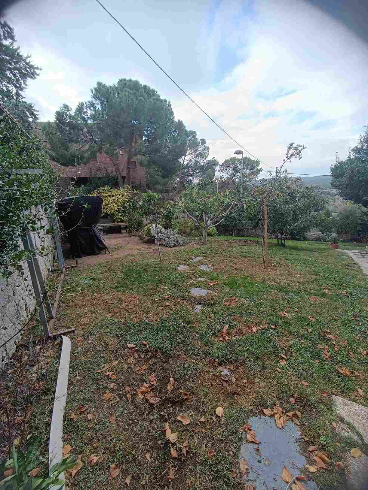 Un patio trasero con mucho césped y árboles y una casa al fondo.