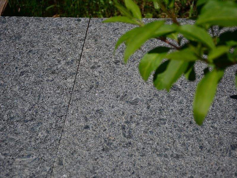 Graue Granitoberfläche mit sichtbarer Textur, einer dunklen Naht und einer grünen Pflanze mit Blättern im Vordergrund.