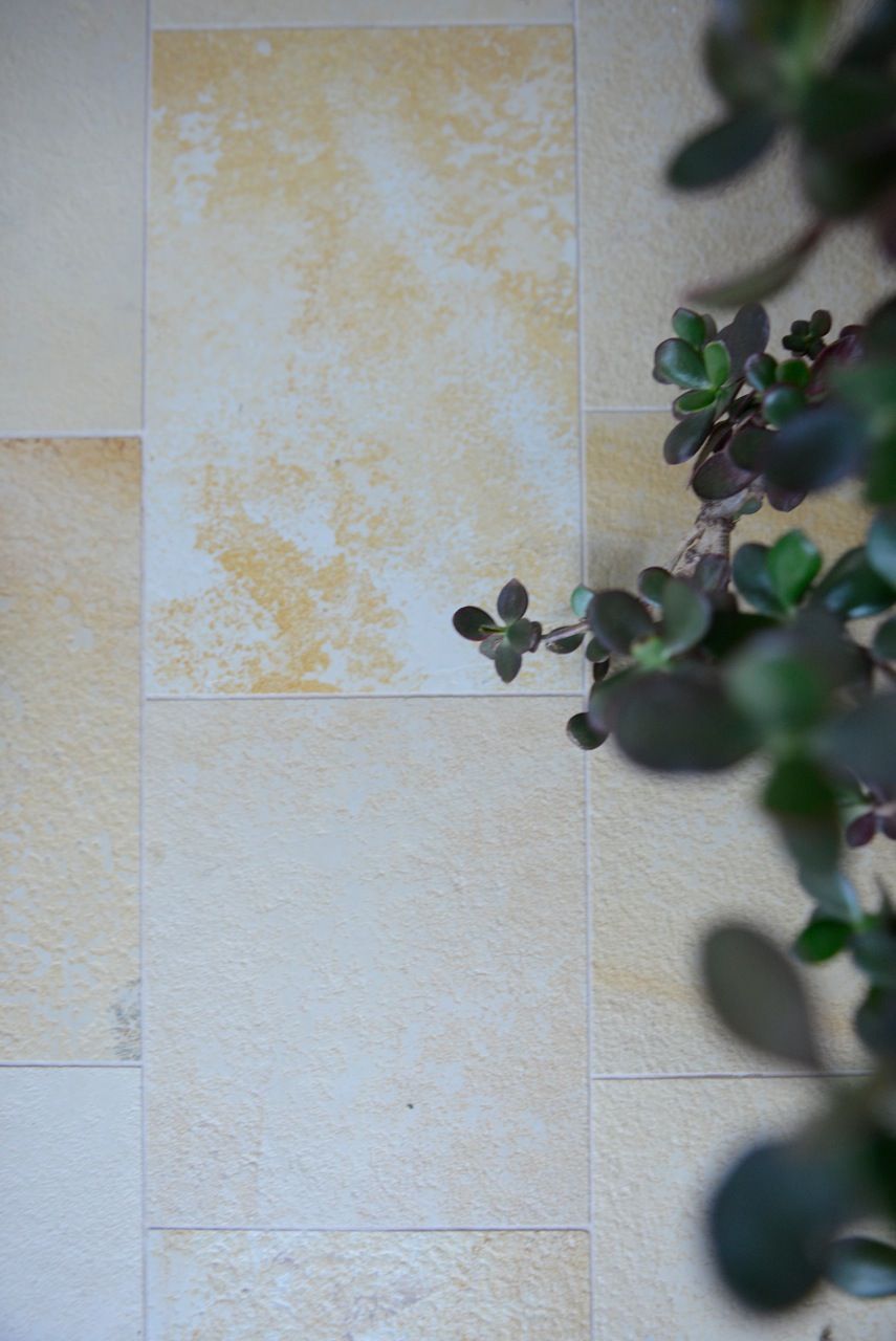 Beige geflieste Wand mit einer grünen Pflanze in der Ecke.