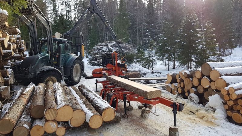 metsamatikainenmetsamatikainen