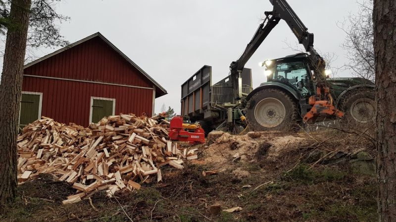 metsamatikainenmetsamatikainen