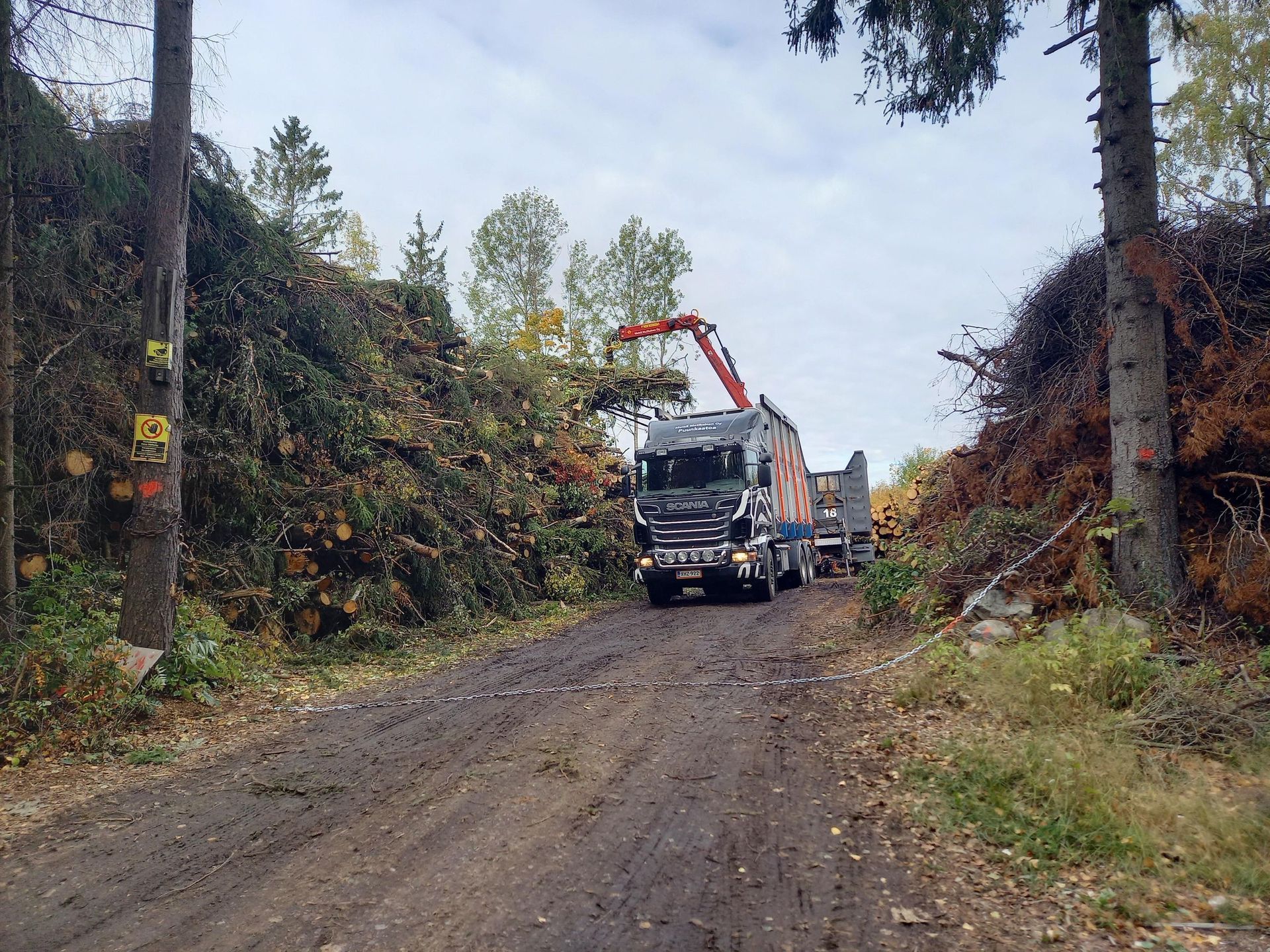 metsamatikainenmetsamatikainen