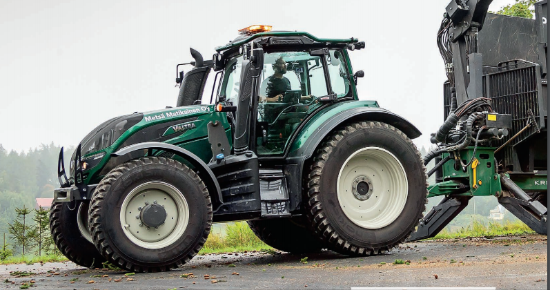 metsamatikainenmetsamatikainen